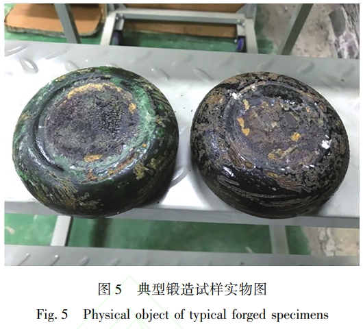 钛合金粉末冶金β相区热加工组织行为