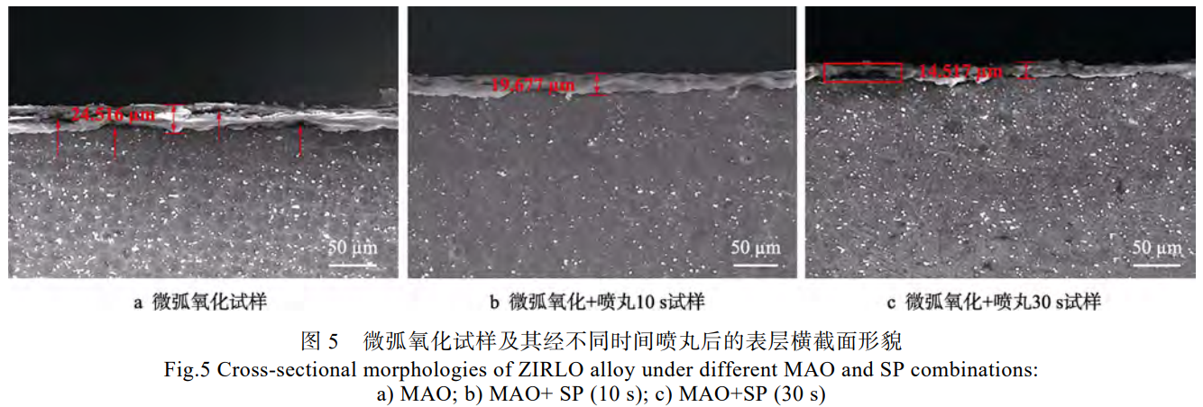 截图20241228161728.png